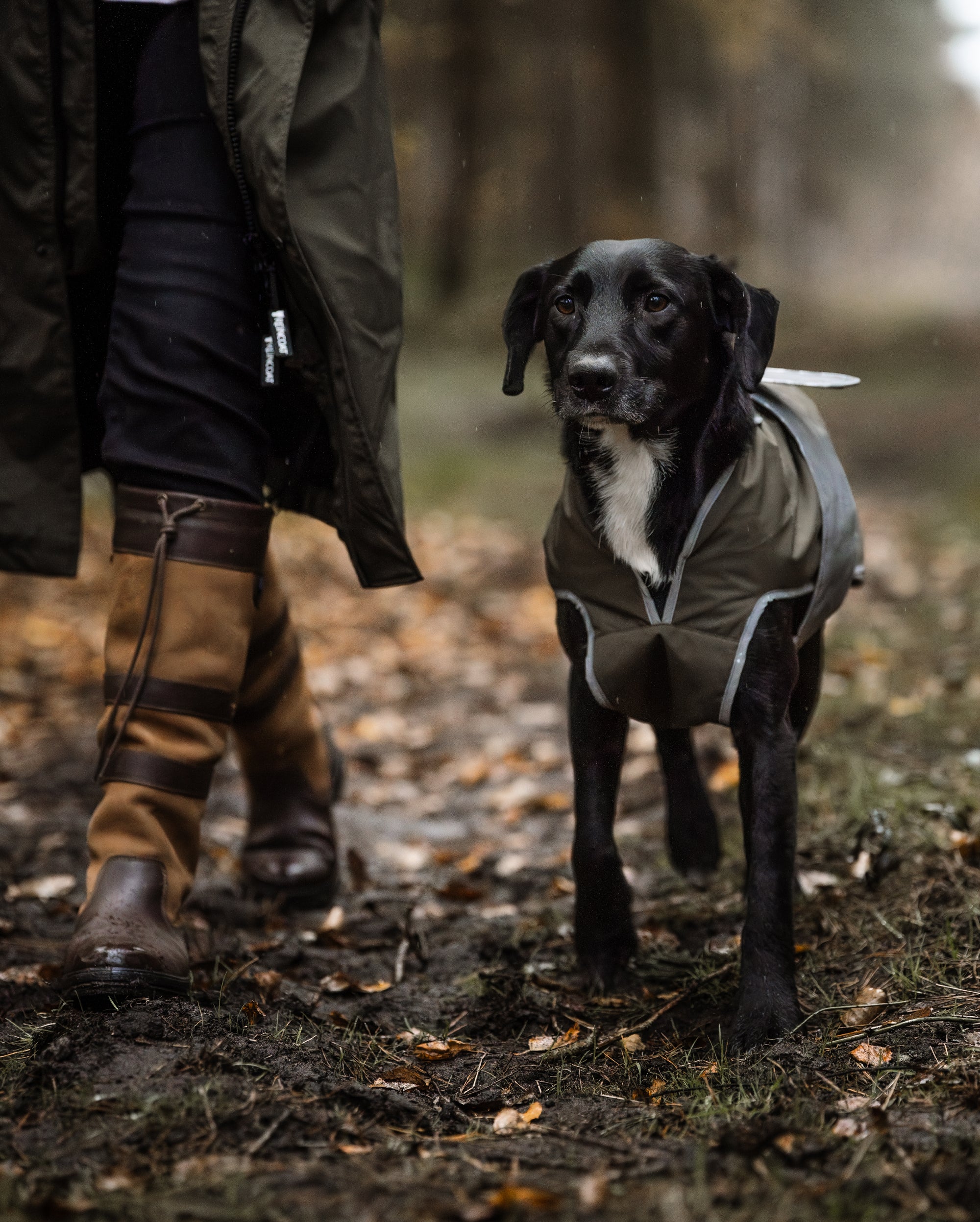 Reincoat Dog - Olive