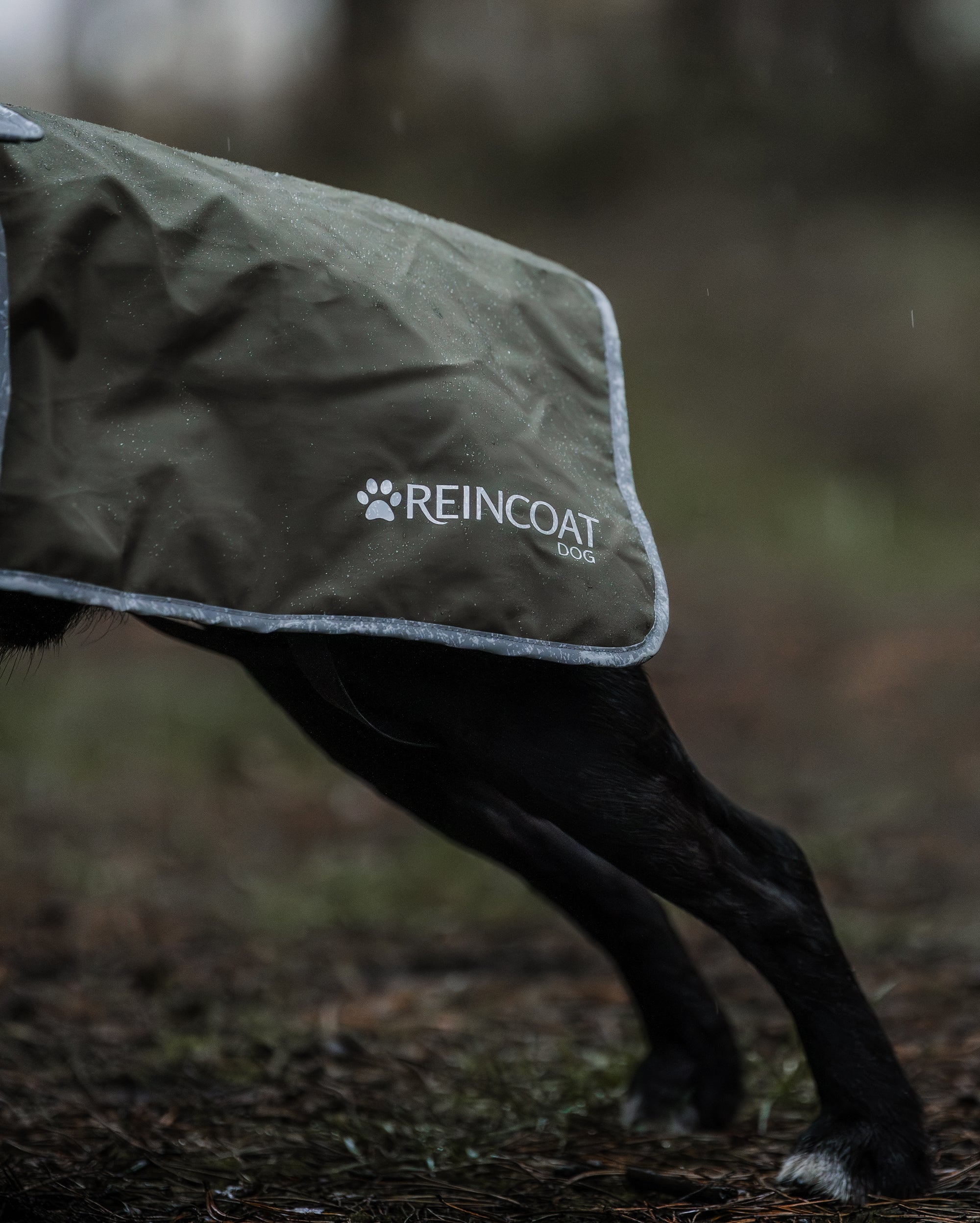 Reincoat Dog - Olive